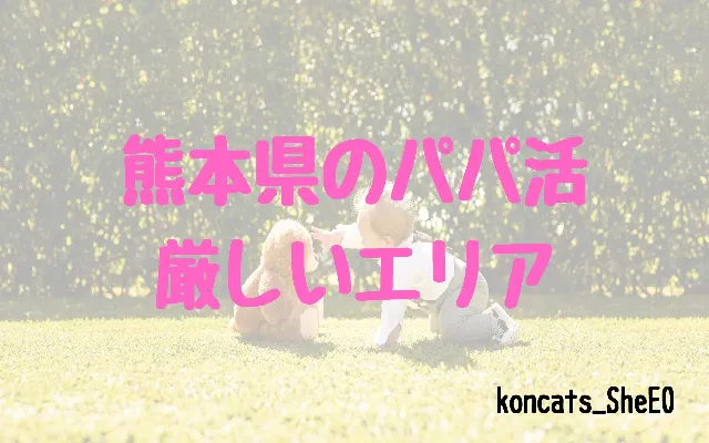 パパ活 熊本県 女性 難しいエリア