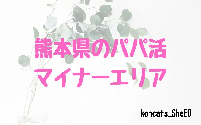 パパ活 熊本県 女性 マイナーエリア
