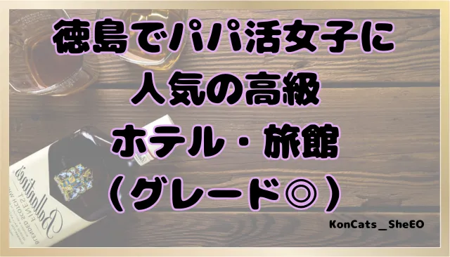 徳島県　パパ活　女性　高級ホテル・旅館