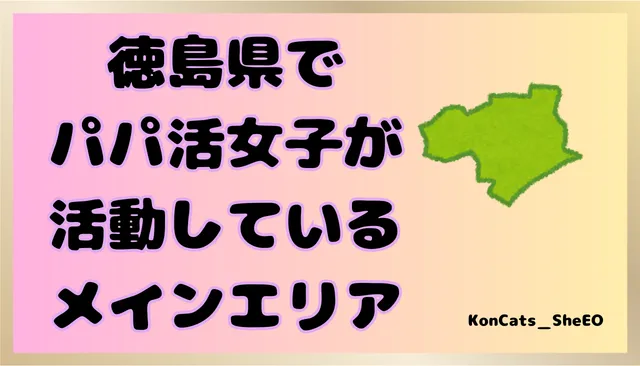 徳島県 パパ活 女性 活動エリア
