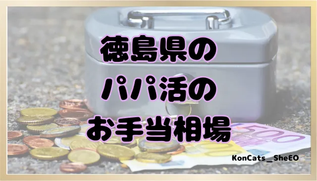 徳島県 パパ活 女性 お手当相場