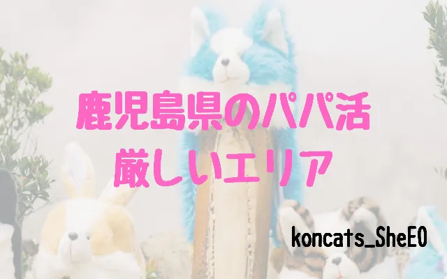 パパ活 鹿児島県 女性 厳しいエリア