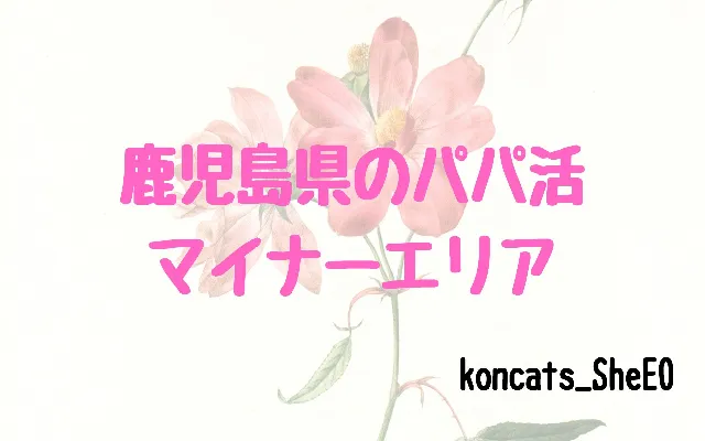 パパ活 鹿児島県 女性 マイナーエリア