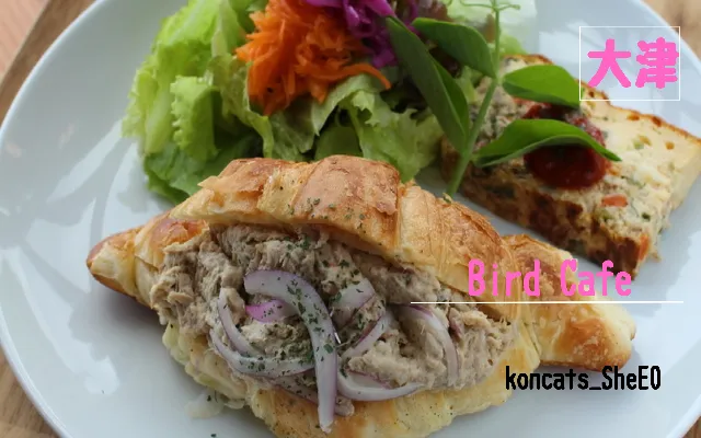 滋賀県 パパ活 女性 Bird Cafe