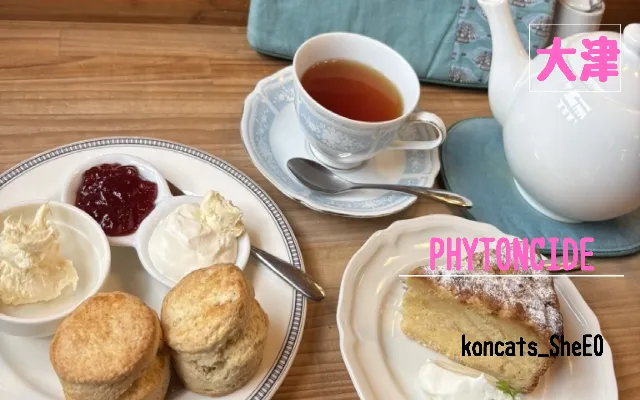 滋賀県 パパ活 女性 PHYTONCIDE