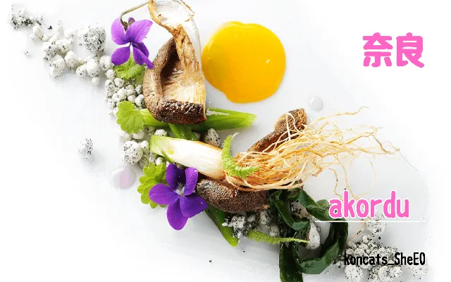 奈良県 パパ活 女性 akordu