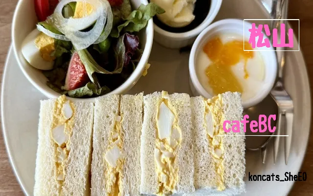 愛媛県 パパ活 女性 cafeBC