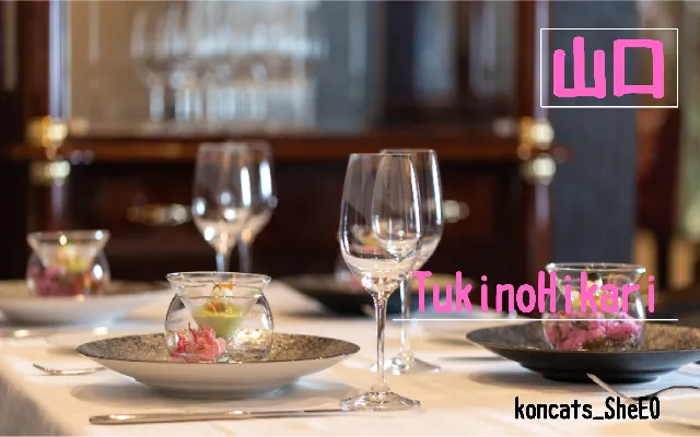 山口県　パパ活　女性　tukinohikari