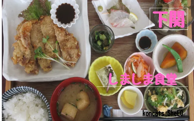 山口県　パパ活　女性　しましま食堂