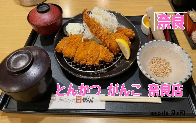 奈良県 パパ活 女性 とんかつ がんこ 奈良店