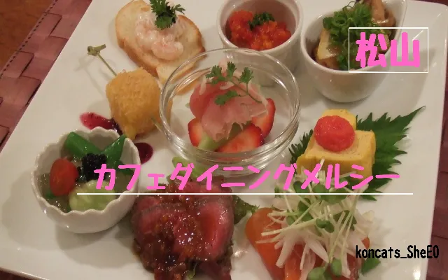 愛媛県 パパ活 女性 カフェダイニングメルシー