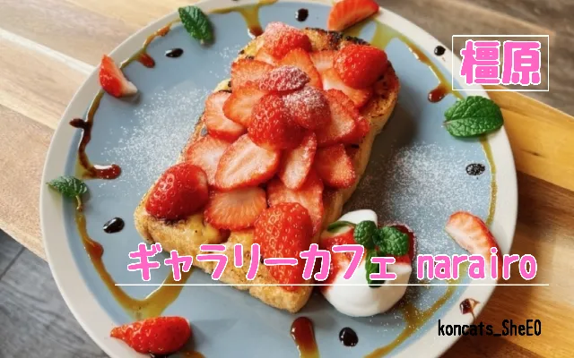 奈良県 パパ活 女性 ギャラリーカフェ narairo