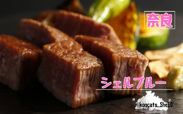 奈良県 パパ活 女性 シェルブルー