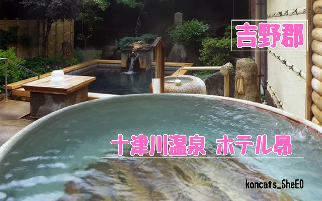 奈良県 パパ活 女性 十津川温泉 ホテル昴