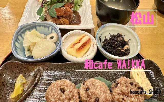 愛媛県 パパ活 女性 和cafe WA!KKA