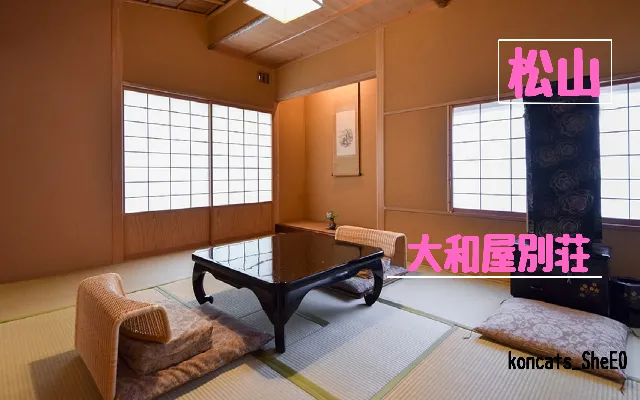 愛媛県 パパ活 女性 大和屋別荘