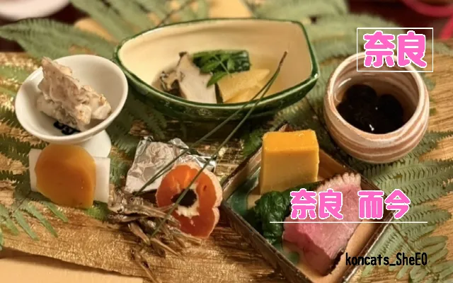 奈良県 パパ活 女性 奈良 而今