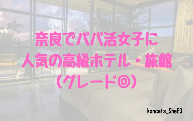 奈良県　パパ活　女性　高級ホテル・旅館