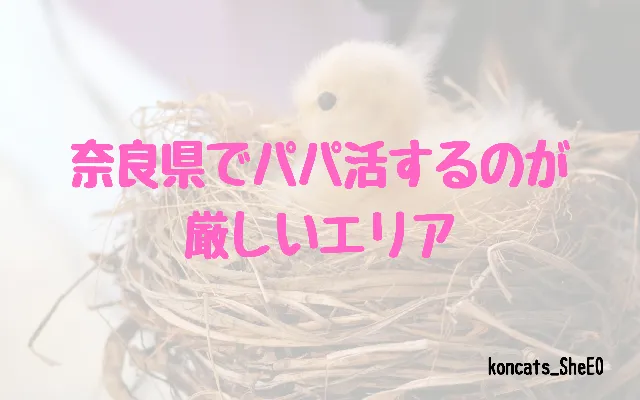 奈良県 パパ活 女性 厳しいエリア