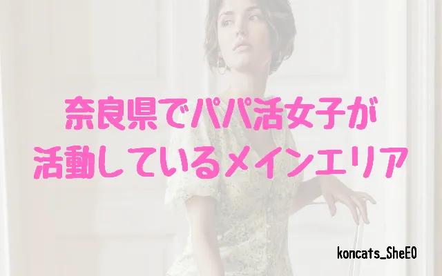 奈良県 パパ活 女性 メインエリア