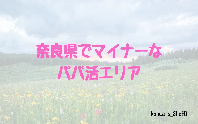 奈良県 パパ活 女性 マイナーエリア