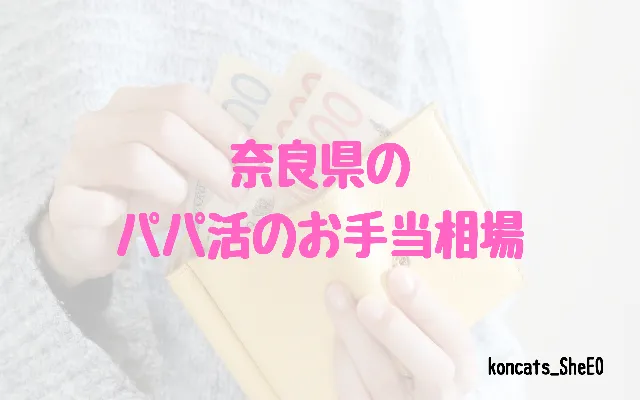 奈良県 パパ活 女性 お手当相場