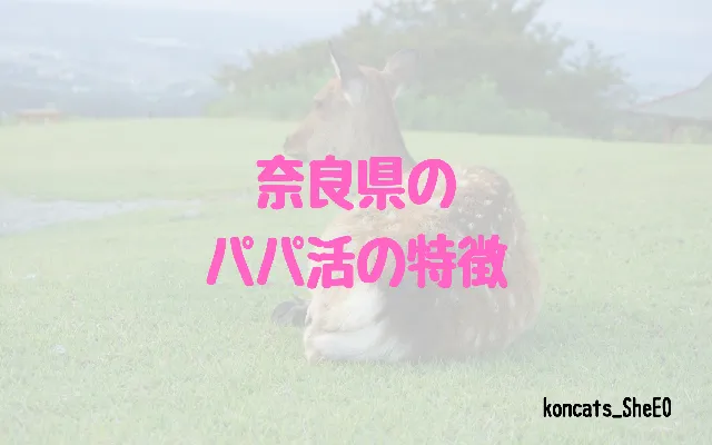 奈良県 パパ活 女性 特徴