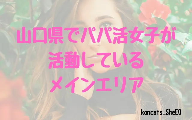山口県　パパ活　女性　メインエリア