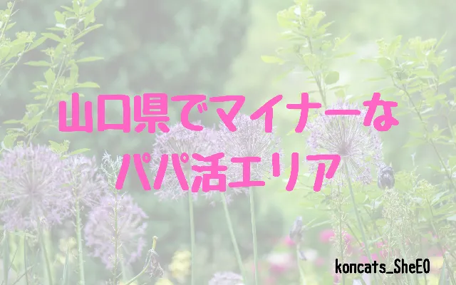 山口県　パパ活　女性　マイナーエリア