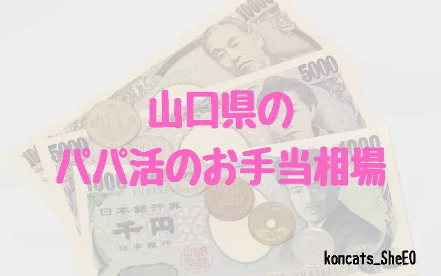 山口県　パパ活　女性　お手当相場