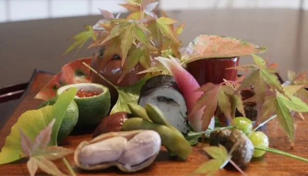 大分県 パパ活 女性 御料理 はた野