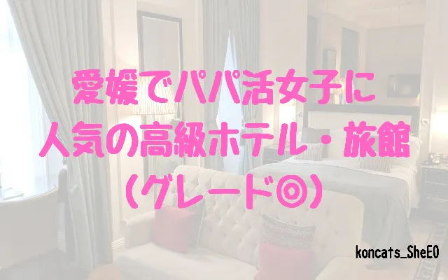 愛媛県　パパ活　女性　高級ホテル・旅館