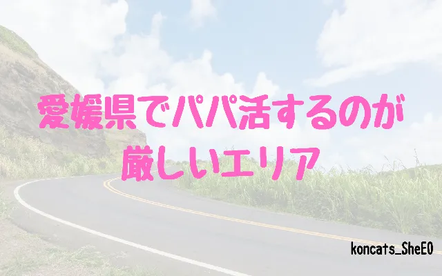 愛媛県 パパ活 女性 厳しいエリア