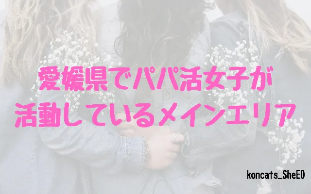 愛媛県 パパ活 女性 メインエリア