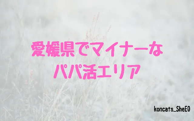 愛媛県 パパ活 女性 マイナーエリア