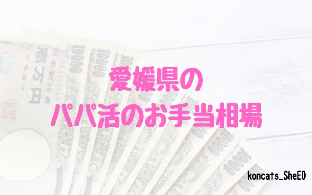愛媛県 パパ活 女性 お手当相場