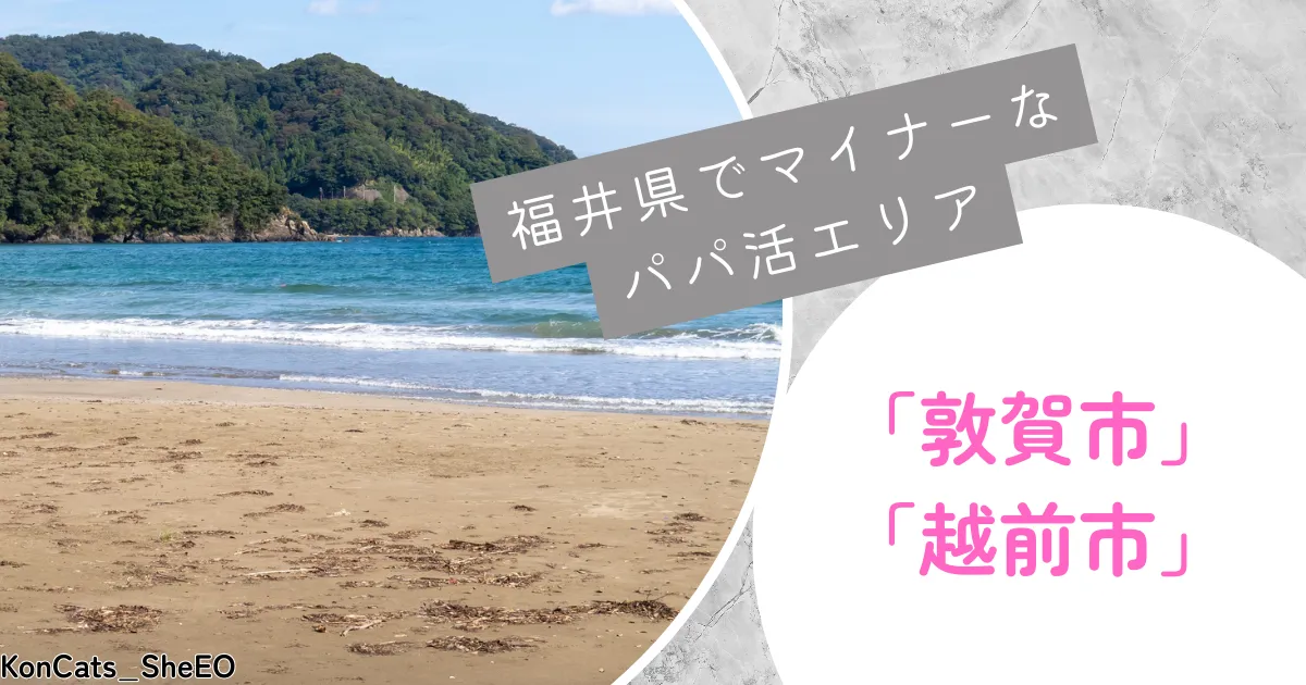 福井県　パパ活　 マイナーなパパ活エリア