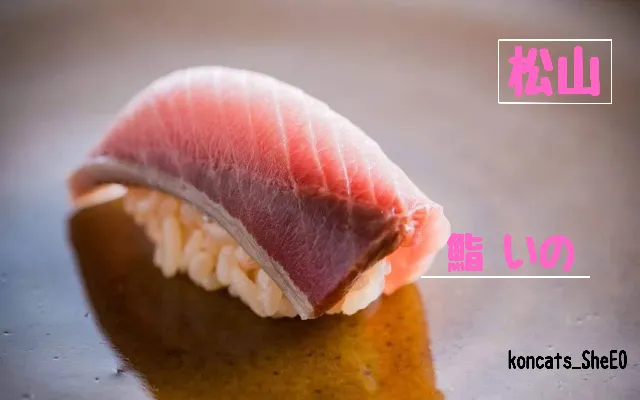 愛媛県 パパ活 女性 鮨 いの