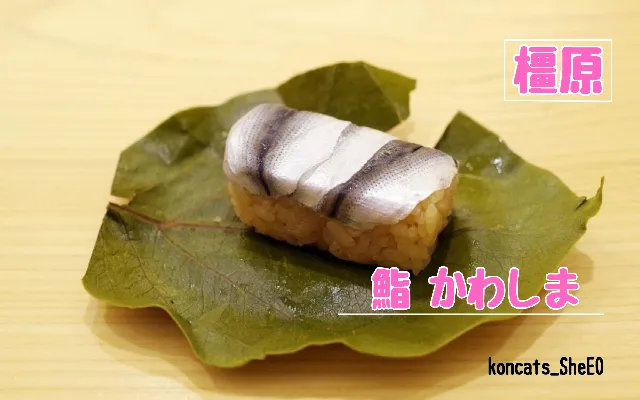 奈良県 パパ活 女性 鮨 かわしま