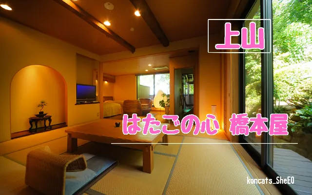 山形県　パパ活　女性　はたごの心 橋本屋