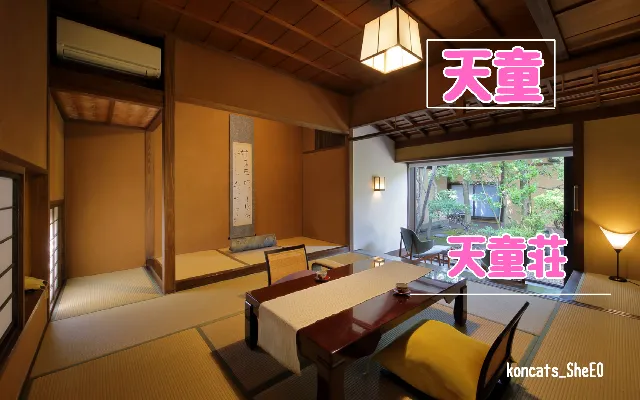 山形県　パパ活　女性　天童荘