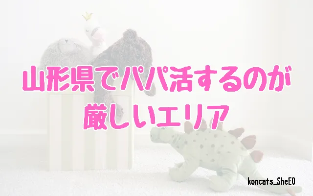 山形県　パパ活　女性　厳しいエリア