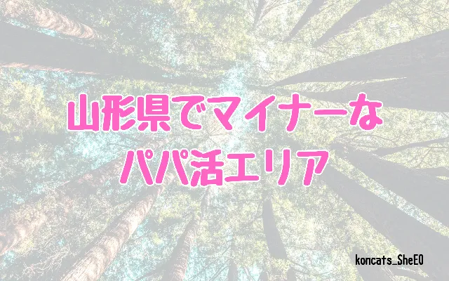 山形県　パパ活　女性　マイナーエリア