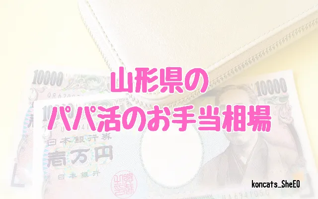 山形県　パパ活　女性　お手当相場