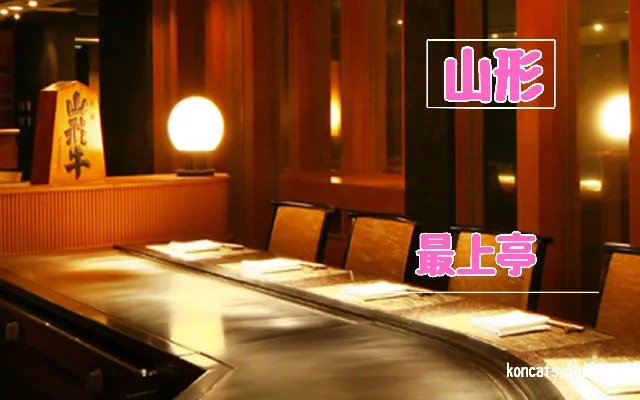 山形県　パパ活　女性　最上亭