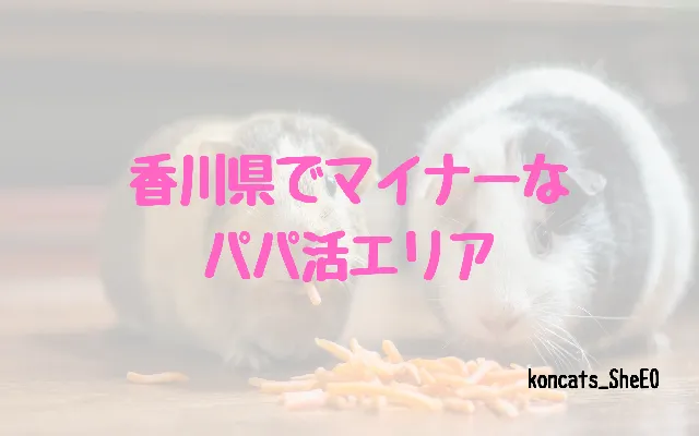 香川県　パパ活　女性　マイナーエリア