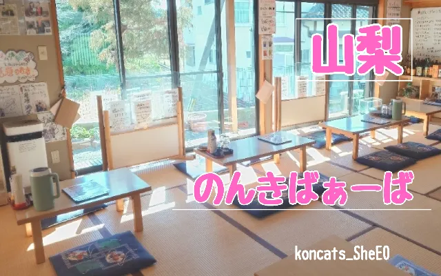 山梨県 パパ活 女性 のんきばぁーば