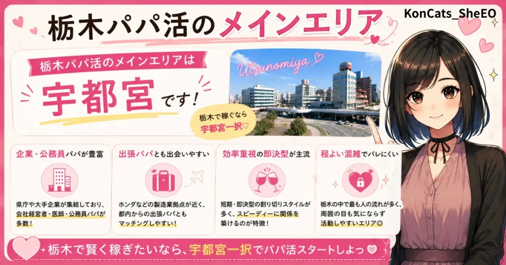 栃木県　パパ活　栃木パパ活のメインエリア