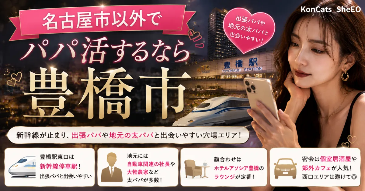 愛知県　パパ活　名古屋以外でパパ活するなら豊橋市